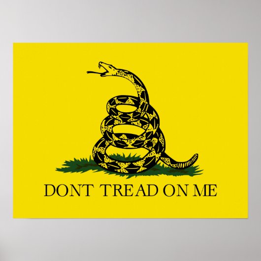 Poster Ne pas taper sur le drapeau de Me Gadsden (Devant)