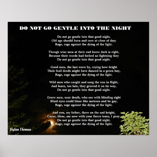 POSTER NE PASSEZ PAS GÊTEMENT DANS LA NUIT (Devant)