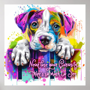 Poster Ne perdez jamais votre curiosité, il y a tellement