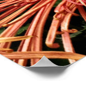 Poster Ne plus être conforme (Coin)