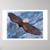 Poster Né pour être libre (Devant)