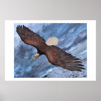 Poster Né pour être libre