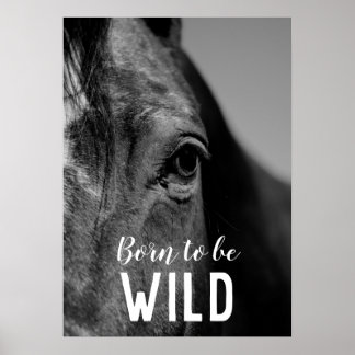 Poster Né pour être sauvage Noir & Blanc Gros plan Cheval