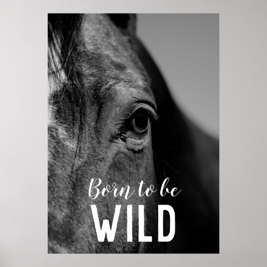 Poster Né pour être sauvage Noir & Blanc Gros plan Cheval (Devant)