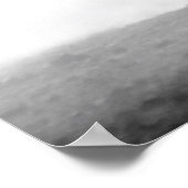 Poster Né pour être Wild Black & White Running Horses (Coin)