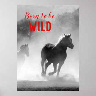 Poster Né pour être Wild Black & White Running Horses