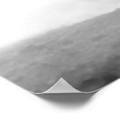 Poster Né pour être Wild Black & White Running Horses (Coin)