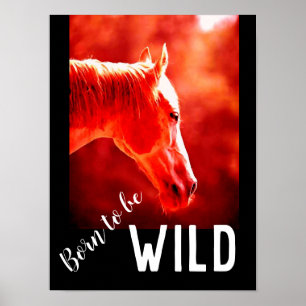Poster Né pour être Wild Gros plan Cheval