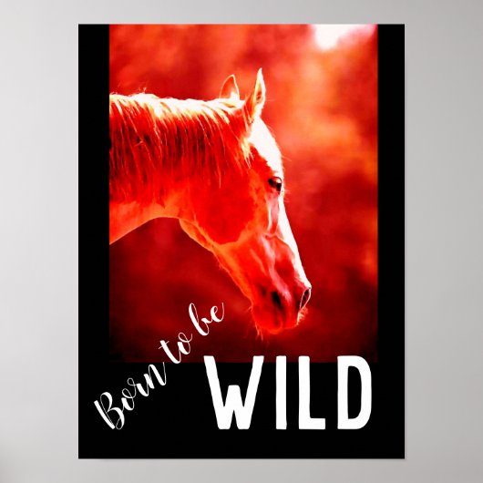 Poster Né pour être Wild Gros plan Cheval (Devant)