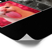 Poster Né pour lambiner forcé de s'enfermer chat drôle (Coin)