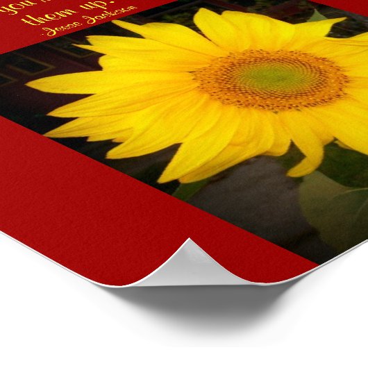 Poster Ne regardez jamais en bas...Citer Poster-Jesse Jac (Coin)