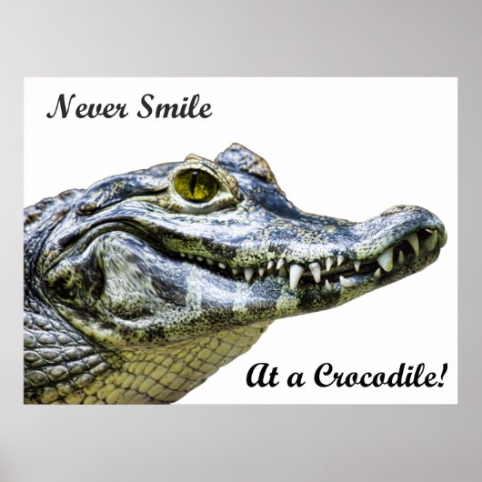 Poster Ne souriez jamais à un crocodile ! (Devant)