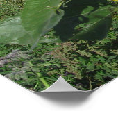 Poster Ne t'inquiète pas, sois heureux (Coin)