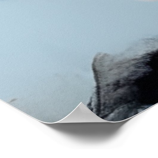 Poster Ne touchez pas mes cheveux Black Melanin Afro Quee (Coin)