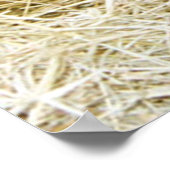 Poster Né tout juste (Coin)