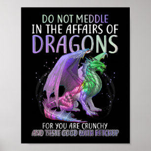 Poster Ne Vous Immiscez Pas Dans Les Affaires Des Dragons