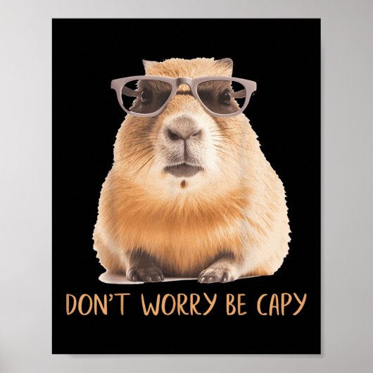 Poster Ne vous inquiétez pas être Capy Capybara (Devant)