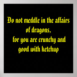 Poster Ne vous mêlez pas des affaires des dragons, pour v