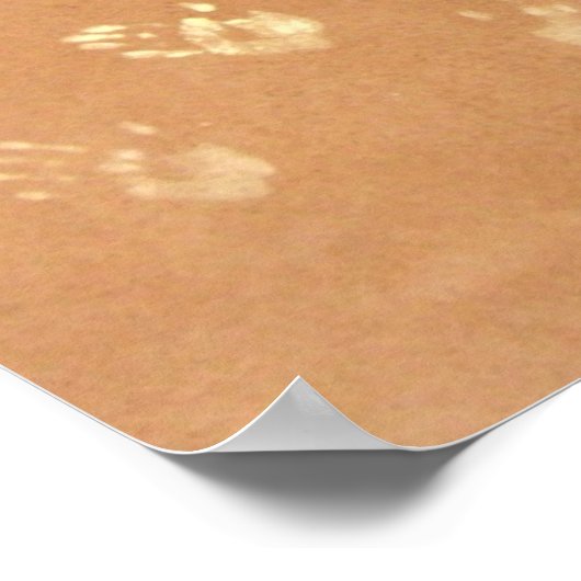 Poster Neandertaler en Kalk (Coin)