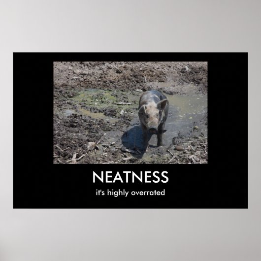 POSTER NEATNESS (Devant)