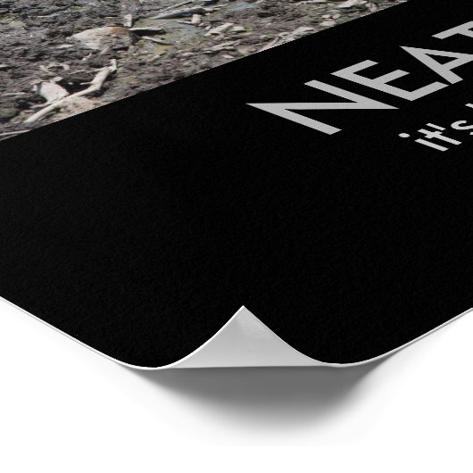 Poster NEATNESS: it's highly overrated (Coin)