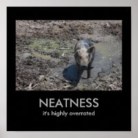 NEATNESS: it's highly overrated