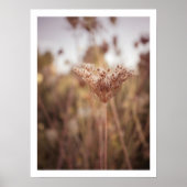 Poster Neatral chaud automne fleur sauvage ferme murale a (Devant)