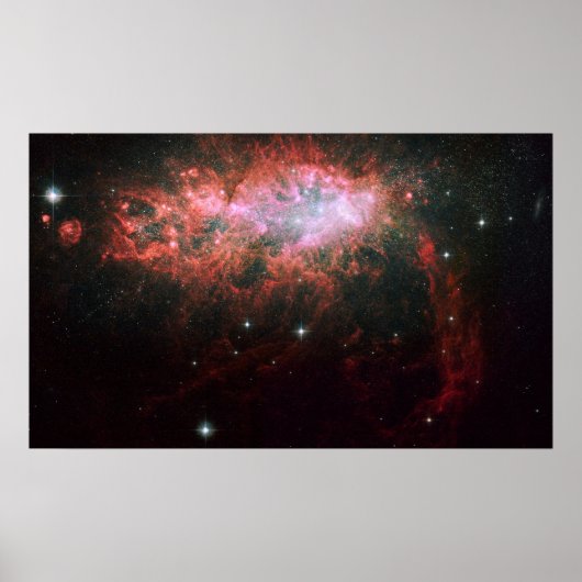 Poster Nebula (Devant)