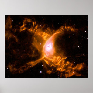 Poster Nebula, araignée géante Cadeau aux amateurs d'ar