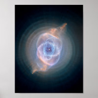Nebula oculaire des chats