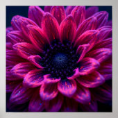 Poster Nébuleuse Fuchsia (Devant)