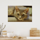 Poster Nedda (Cuisine)