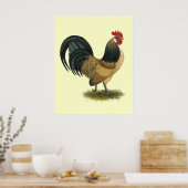 Poster Néerlandais Bantam : Bleu Quail Rooster (Cuisine)