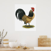 Poster Néerlandais Bantam : Bleu Quail Rooster (Cuisine)