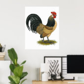 Poster Néerlandais Bantam : Bleu Quail Rooster (Bureau à domicile)