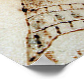 Poster Nefertit, reine d'Égypte (Coin)