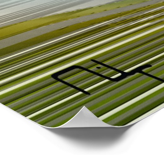 Poster Nefertiti révélé (Coin)