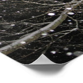 Poster Neige dans la nuit (Coin)