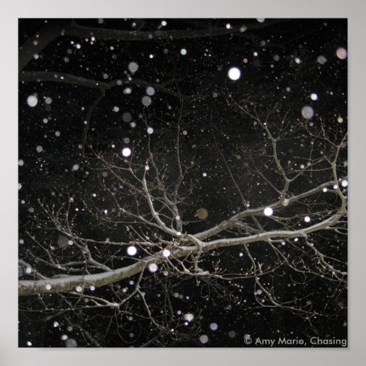 Poster Neige dans la nuit (Devant)