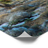 Poster Neige dans la vallée de la mort (Coin)
