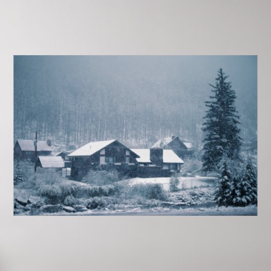 Poster Neige Dans Les Imprimés En Aspen (Devant)