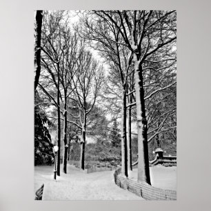 Poster Neige de Central Park 2010 - CIMG6447-a