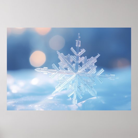 Poster Neige Flake Nature Serene Tranquille Paix (Devant)