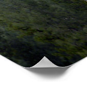 Poster Neige fraîche en poudre..... (Coin)