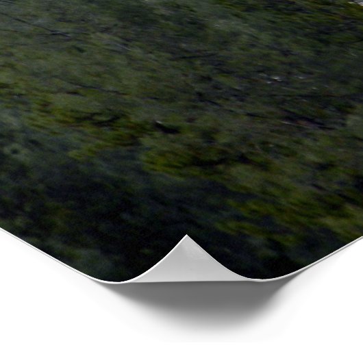 Poster Neige fraîche en poudre..... (Coin)