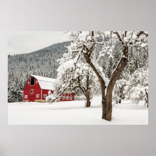 Poster Neige fraîche sur grange rouge (Devant)
