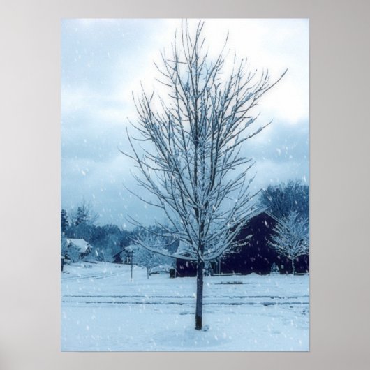 Poster Neige hivernale (Devant)