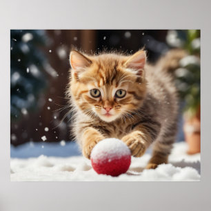 Poster *~* Neige Jouant au Ballon Chaton 5:4  Chat Kitten