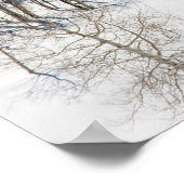 Poster Neige sur Dallas Divide (Coin)