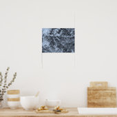 Poster Neige sur les aiguilles de pin (Cuisine)